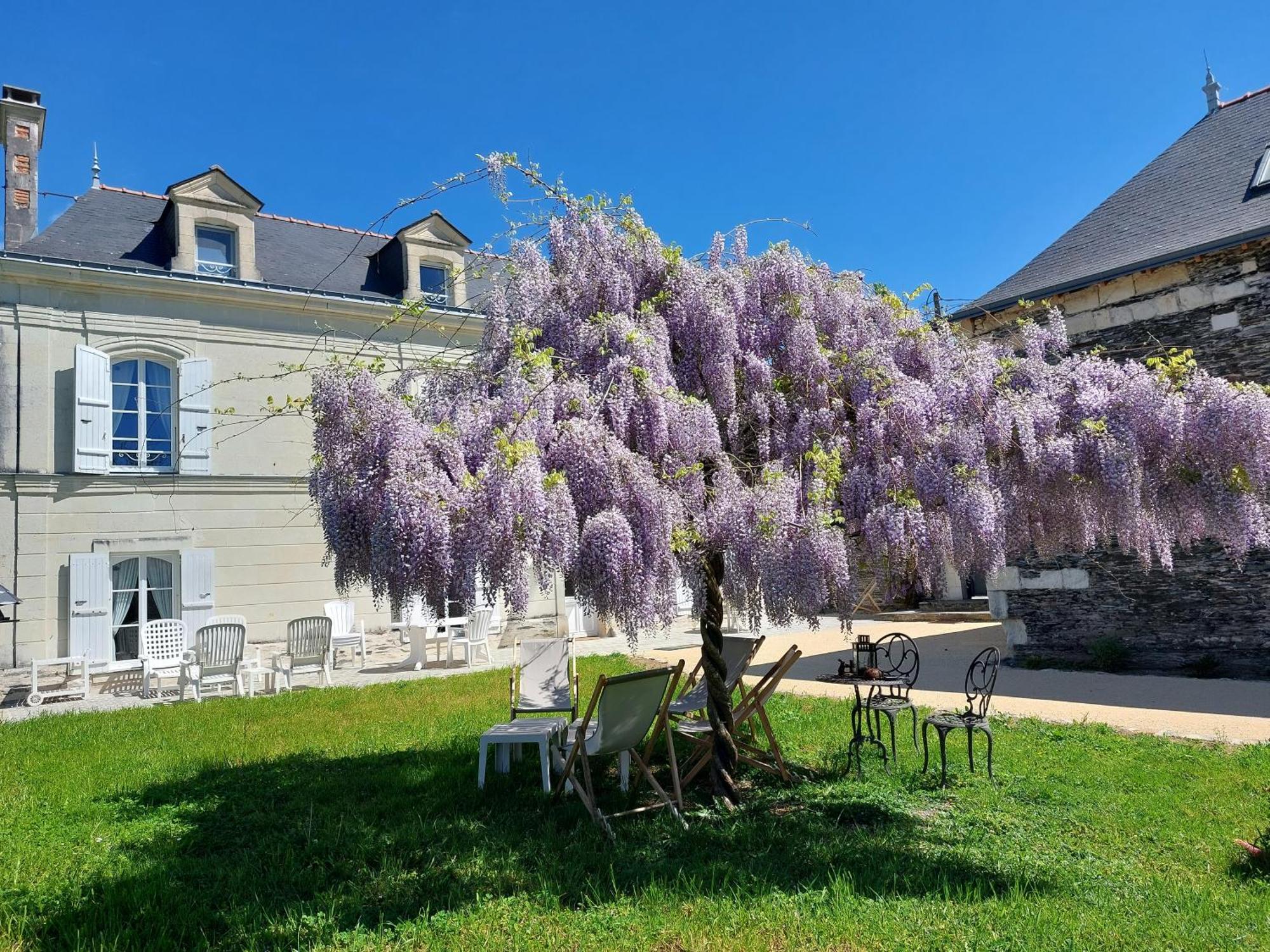 Apartmán La Bohal' Loire La Bohalle Exteriér fotografie